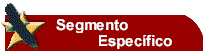 Segmento Espec�fico